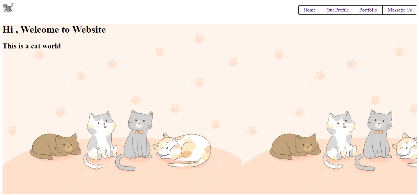 Company profile portfolio